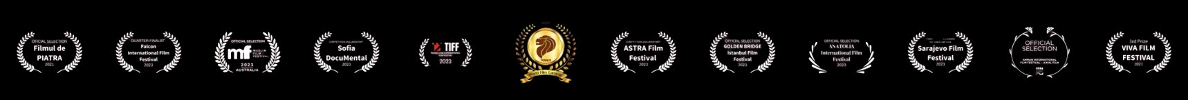 International film festival selections — TIFF, Sarajevo, ASTRA, Sofia DocuMental, Golden Bridge Istanbul, Amman, Viva Film Festival and more