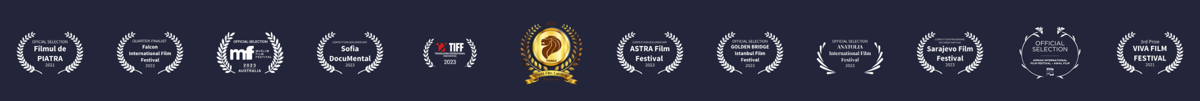 Festival selections TIFF, Sarajevo, ASTRA, Sofia DocuMental, Golden Bridge Istanbul, Amman, Viva Film Festival and more